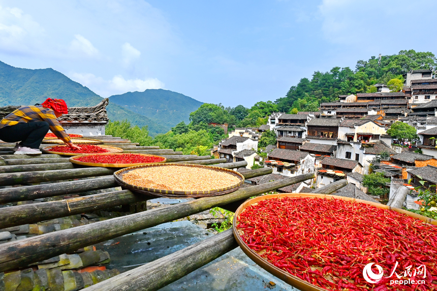 Villagers sun-dry crops in Wuyuan, E China's Jiangxi-1