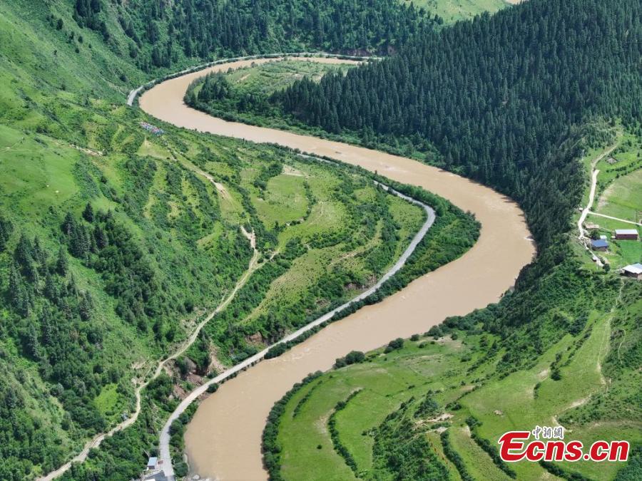 Natural scenery of Makehe primitive forest farm in Qinghai-3