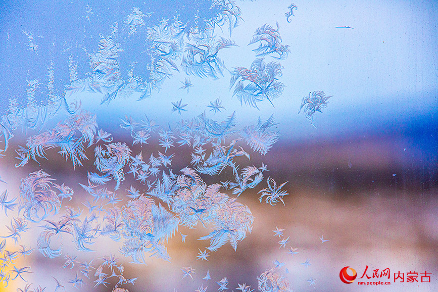 Winter's delicate artwork: Ice forms flower patterns on windows in N China-2