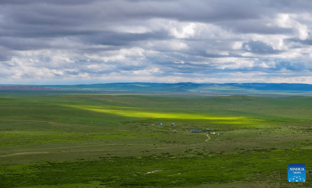 Scenery of grassland in north China's Inner Mongolia-5