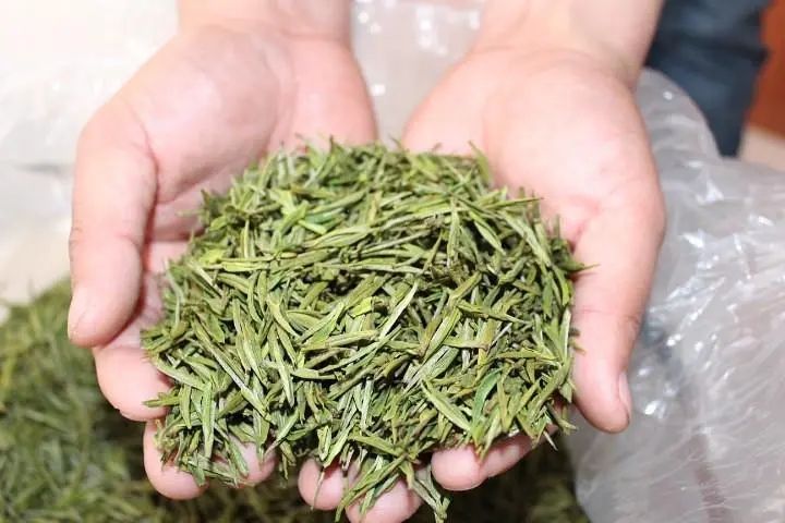 How Much Does a Pound of 2024 Shifeng Longjing Spring Tea Cost?-2