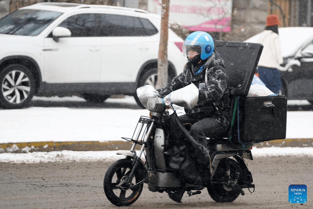 View of snow-covered Harbin in NE China-5