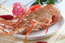 Australian Lobster Recipes