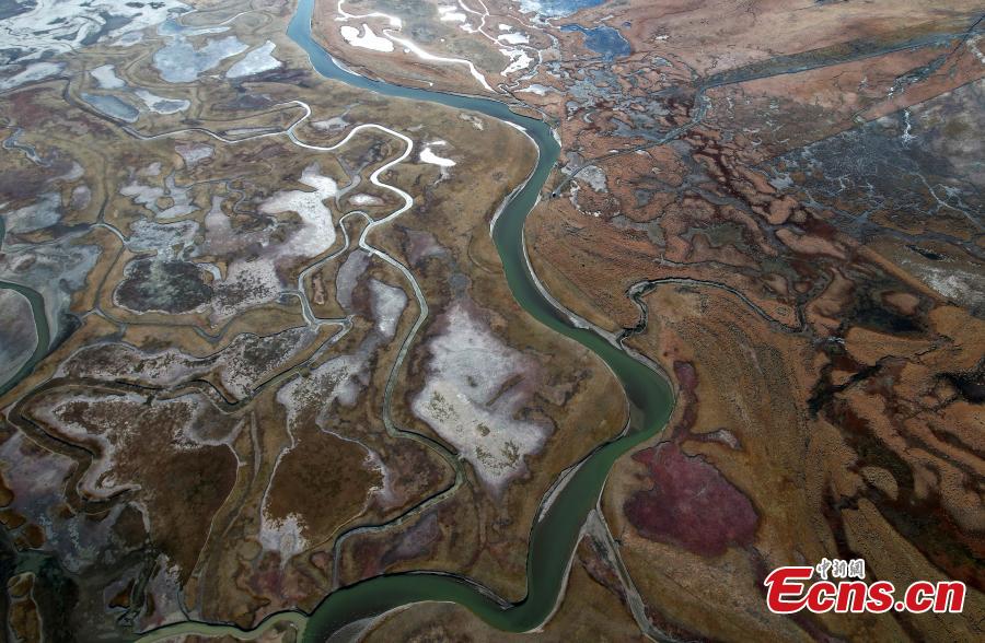 Landscape of meadow wetland in Lhasa-2