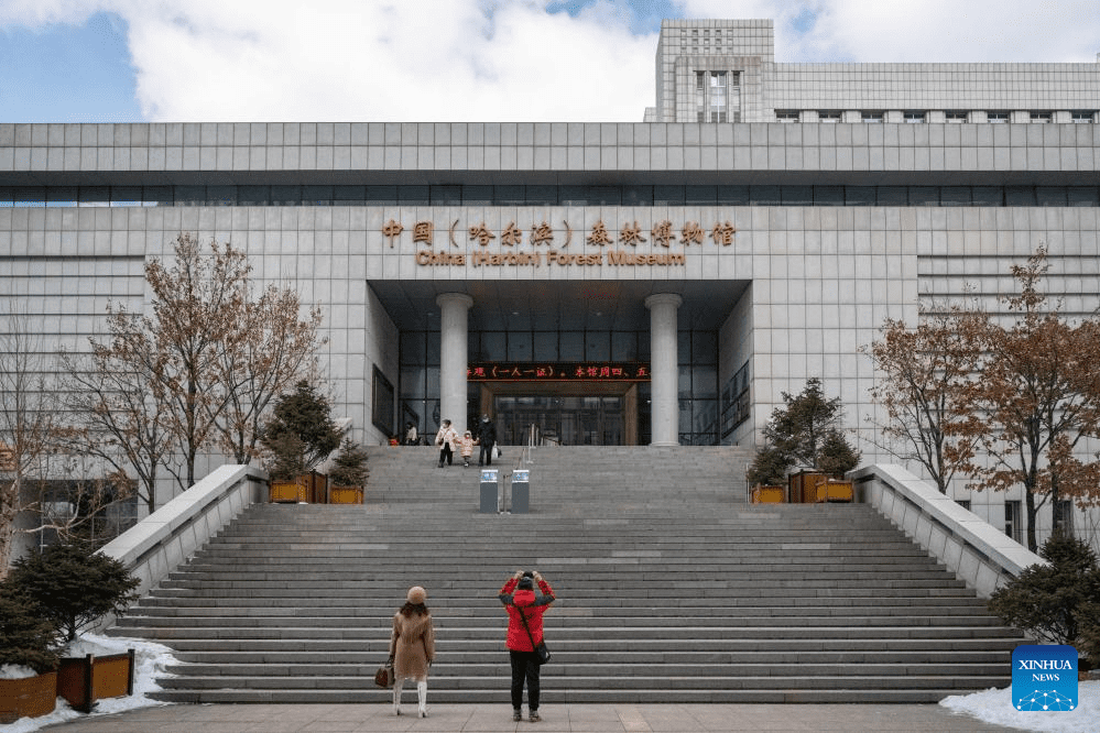 People visit China (Harbin) Forest Museum-3