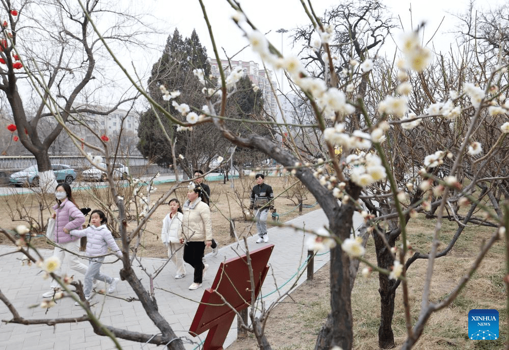 Visitors enjoy plum blossom in Beijing-3