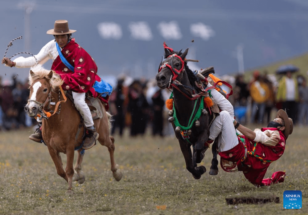 Horse racing event kicks off in SW China's Sichuan-3