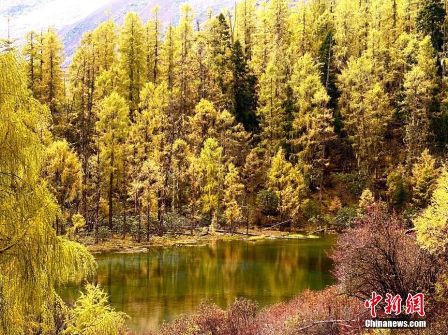 Fairyland scenery at Majiagou valley in Sichuan-3