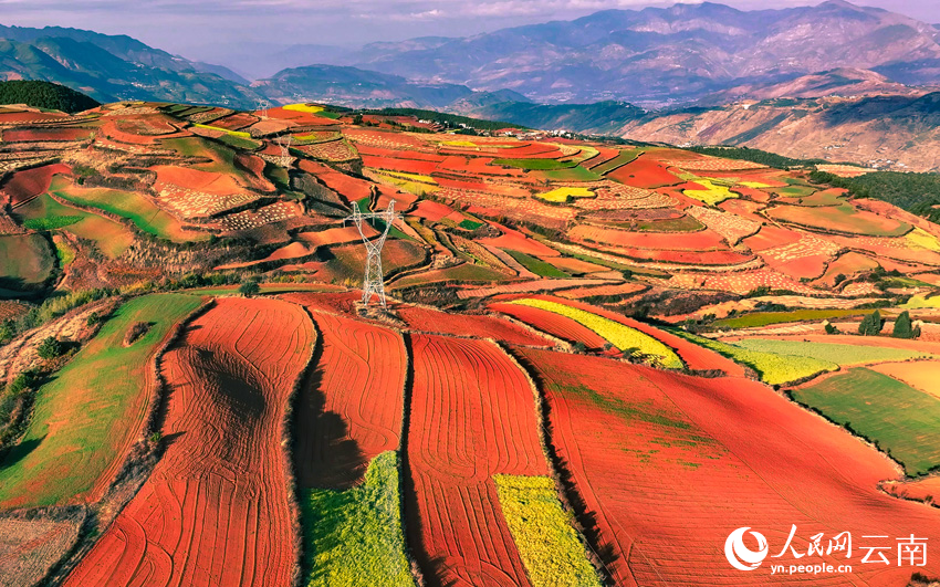 In pics: Colorful terraced fields in SW China's Yunnan resemble palette-4