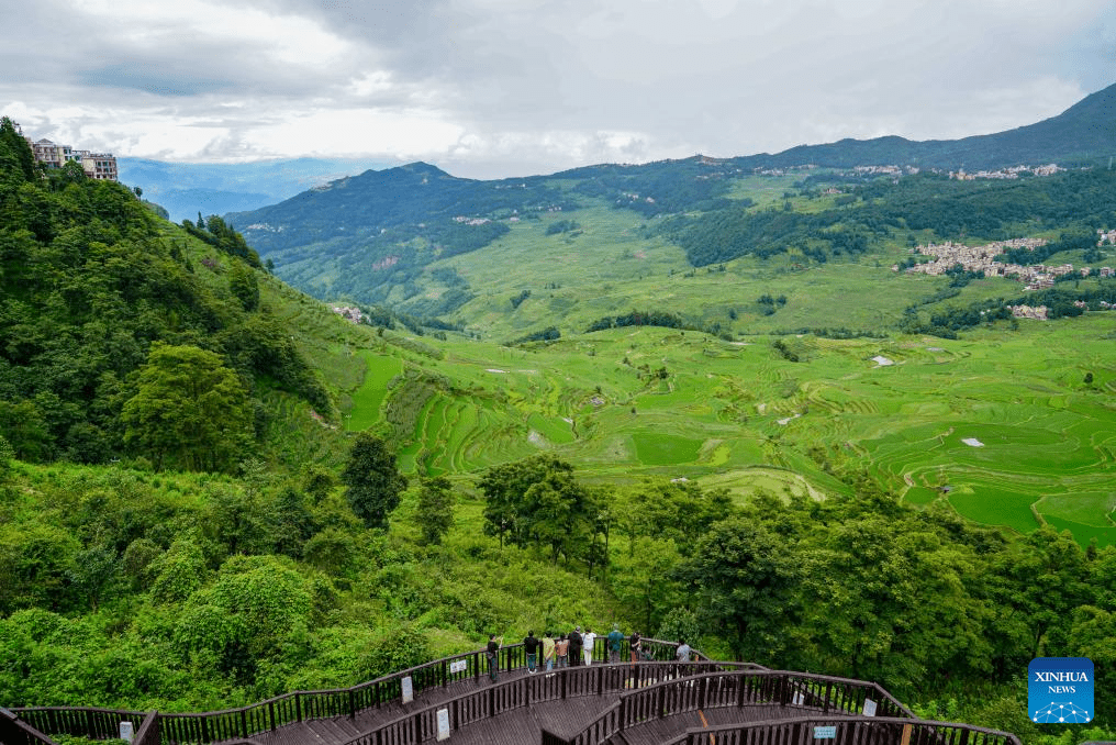 View of Hani terraced fields in Yunnan-1