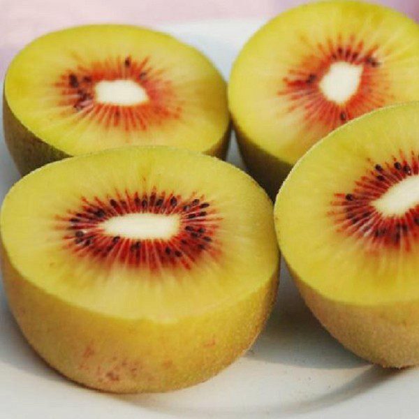 Cangxi Red Heart Kiwifruit-1