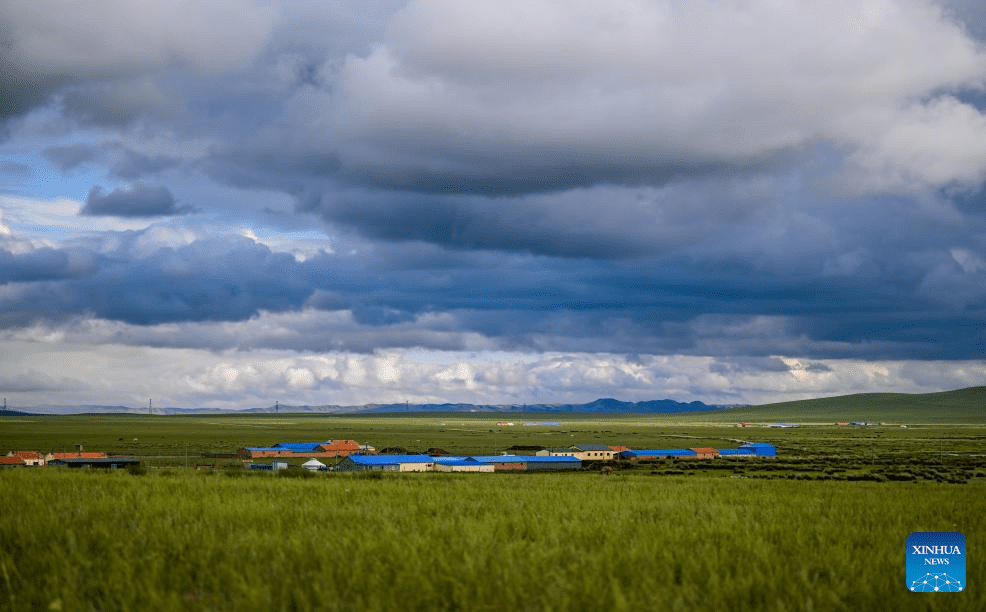 Scenery of grassland in north China's Inner Mongolia-1