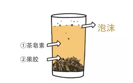 Top 10 Questions Asked Before Drinking Dahongpao-7