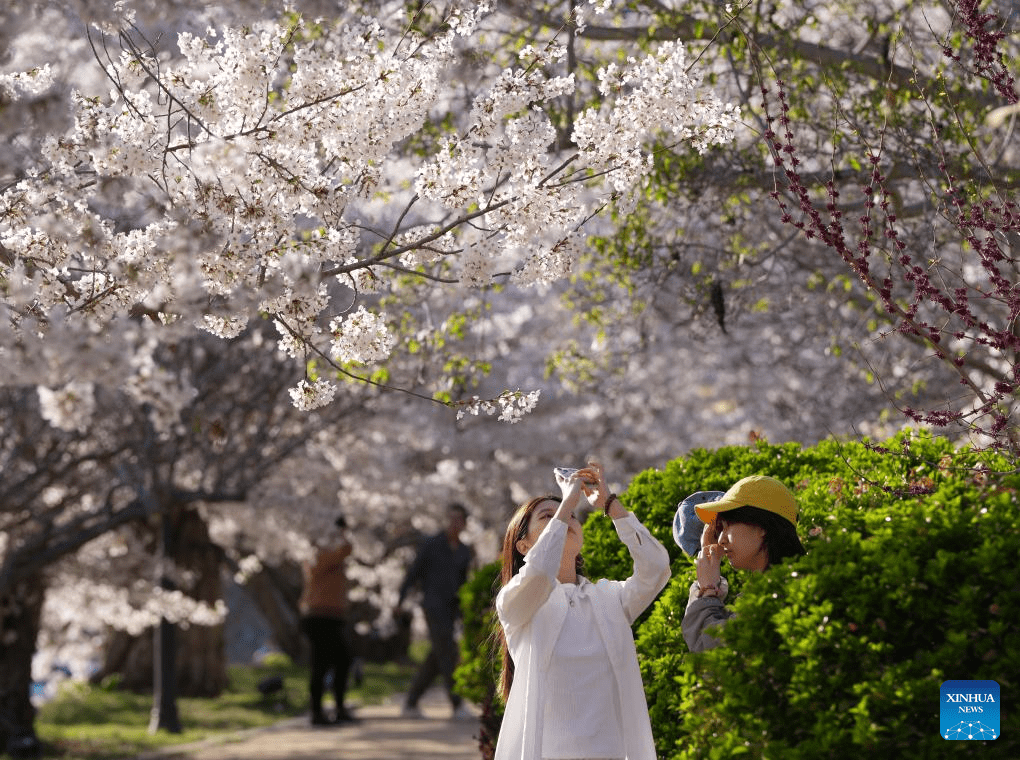 Tourists enjoy themselves in Dalian, NE China-4