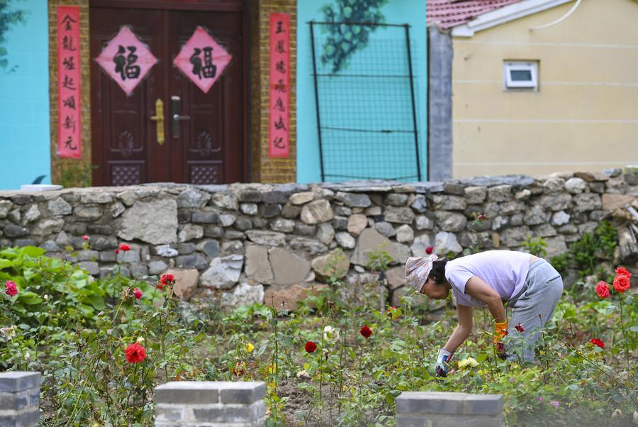 Village in Beijing develops tourism relying on Great Wall resources-4