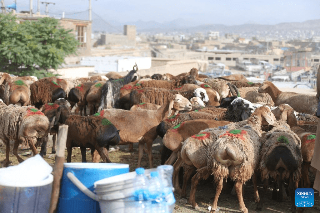 Chinese team holds heritage protection class for Afghan students-7