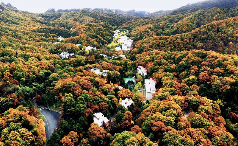 Baiyun Mountains: A Majestic Natural Garden-3