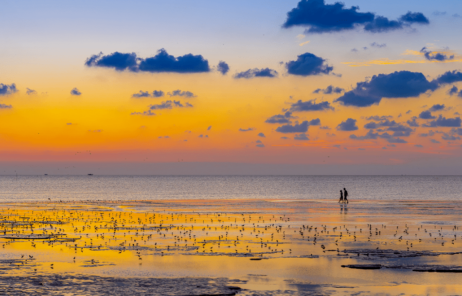 Migratory Bird Sanctuaries along the Coast of Yellow Sea-Bohai Gulf of China (Phase I)-1