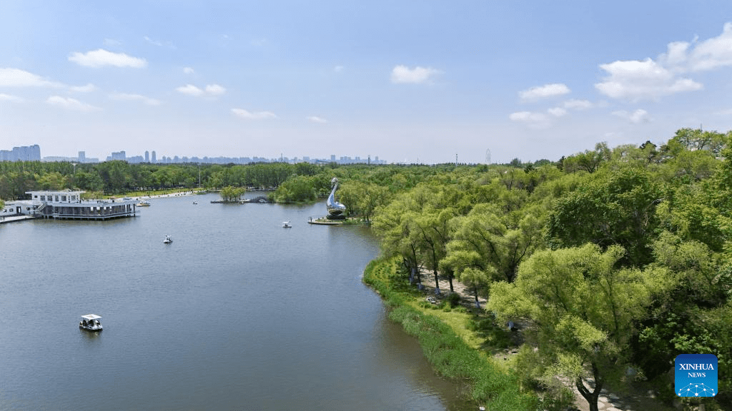 Aerial view of Heilongjiang Taiyangdao National Wetland Park-4