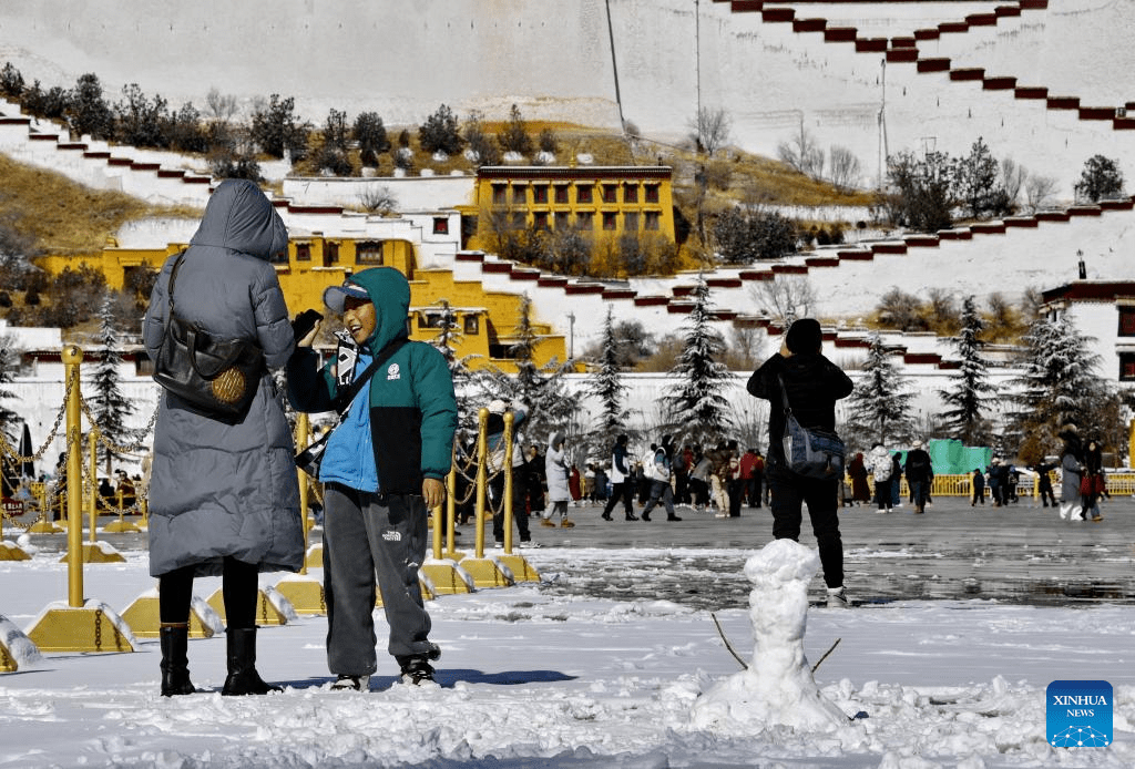 In pics: snow falls in Lhasa-4