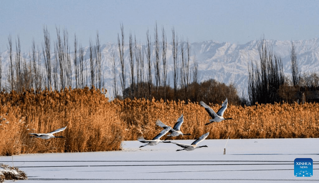 Rendezvous with snow refreshes landscapes in China-13