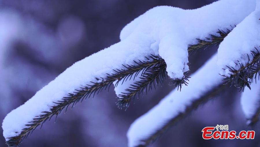 Winter scenery Daqinghe River in Xinjiang-3