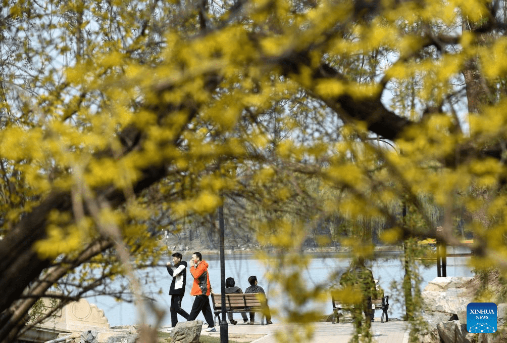 Tourists visit Yuanmingyuan Park in Beijing-4