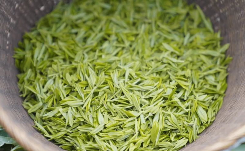 Price of 2024 Xinyang Maojian Spring Tea per Pound-1