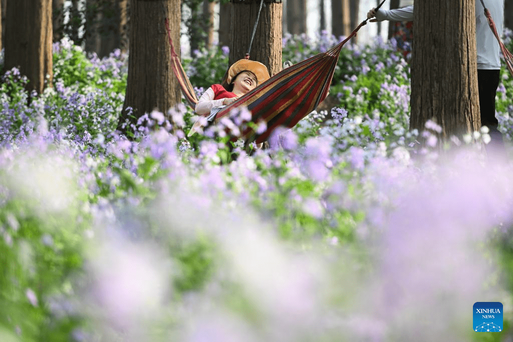 Scenery of Jinhu water forest scenic spot in Jiangsu-5