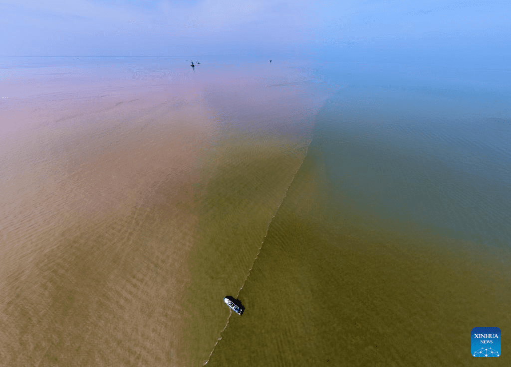 View of Yellow River estuary in Dongying, east China's Shandong-1