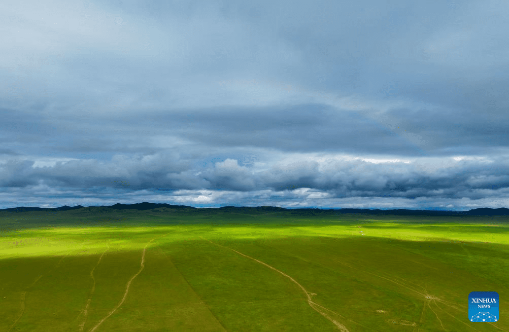 Scenery of grassland in north China's Inner Mongolia-3