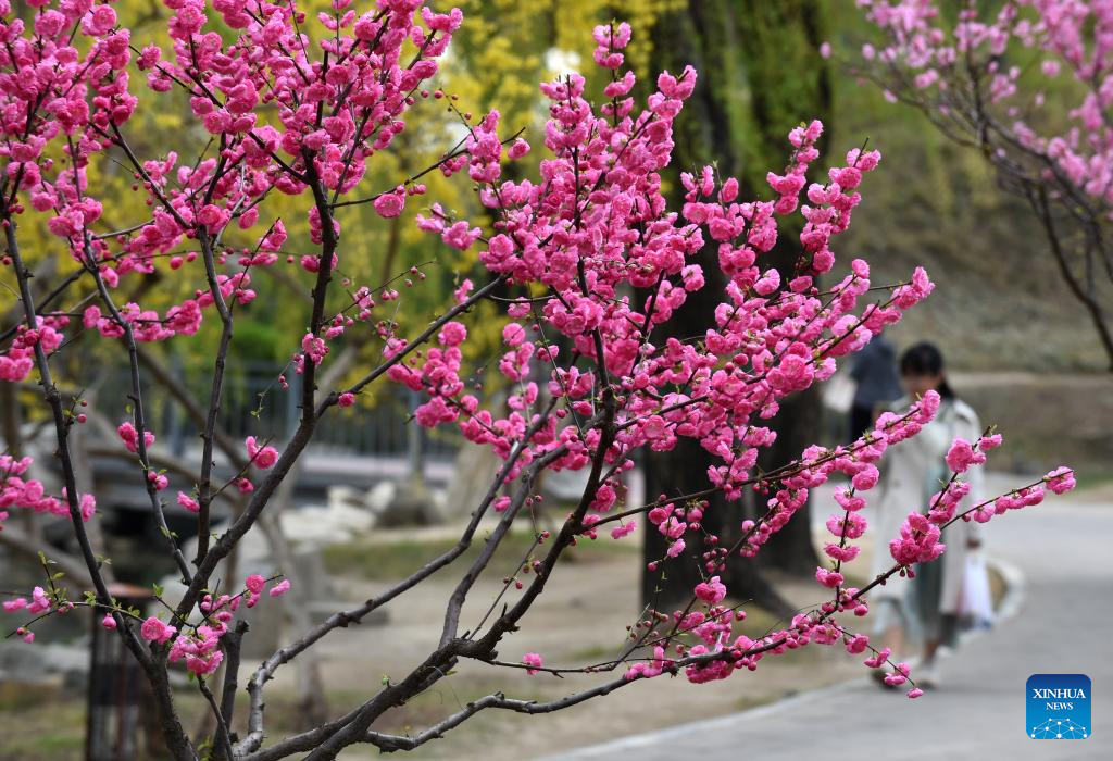 Tourists visit Yuanmingyuan Park in Beijing-5