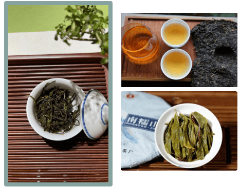 Puer Tea Culture of Menghai County ①-2