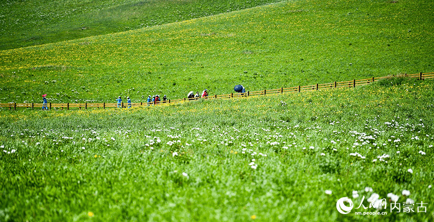 Picturesque summer view in N China's Ulgai Grassland-4