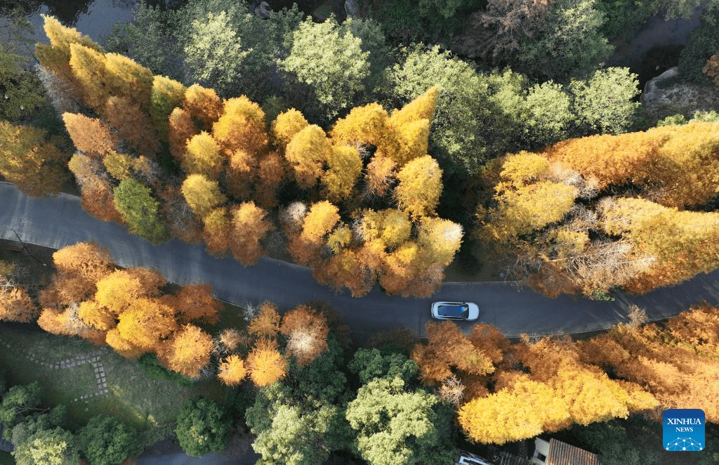 In pics: Meiling national forest park in Nanchang, E China-5