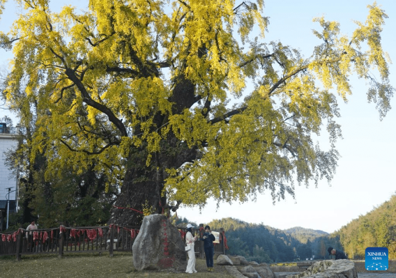 In pics: Meiling national forest park in Nanchang, E China