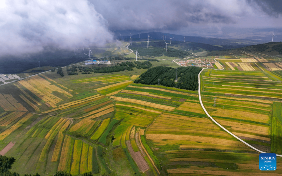 Autumn scenery in N China