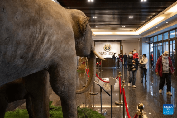 People visit China (Harbin) Forest Museum