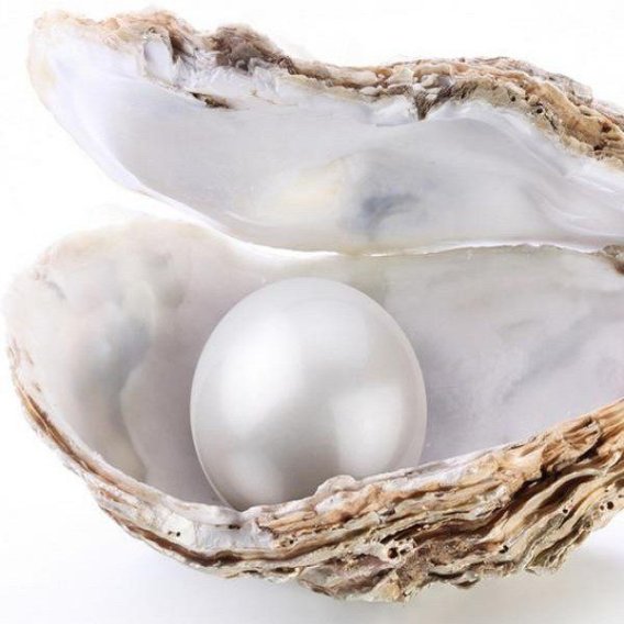 Bangladeshi Pearl