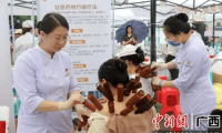 Zhuang and Yao Medicine Featured at Guangxi Traditional Chinese Medicine Cultural Market