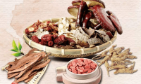 Improving the Mechanism for the Inheritance, Innovation, and Development of Traditional Chinese Medicine (TCM)