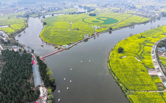 View of oilseed rape fields in Chongqing, SW China