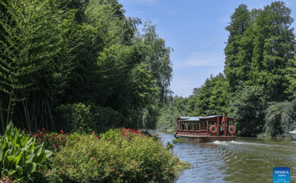 Zhejiang’s national wetland park makes efforts to improve ecological environment