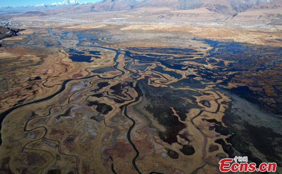 Landscape of meadow wetland in Lhasa