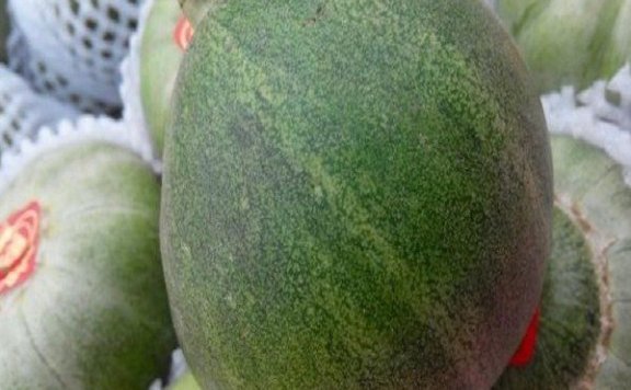 Leting Melon