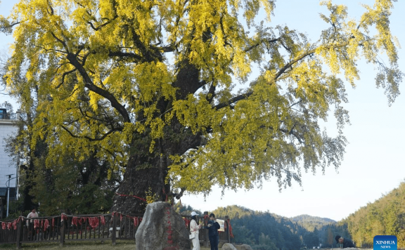 In pics: Meiling national forest park in Nanchang, E China