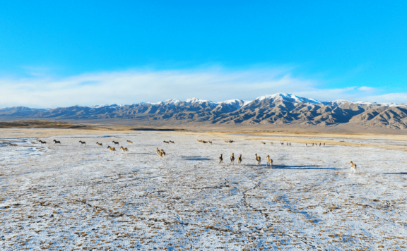 Discover the magical Qaidam Basin in NW China’s Qinghai