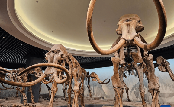 Digital museum brings prehistoric animals back to “life”