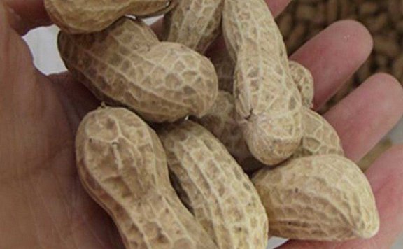 Yiyuan Peanuts