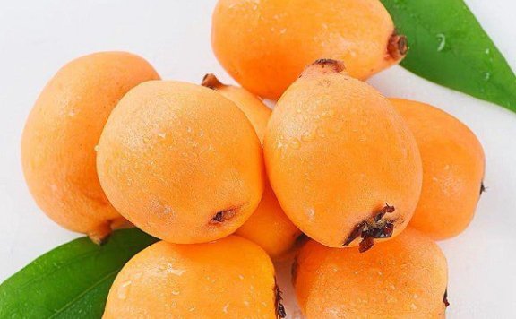 Wengong Loquat